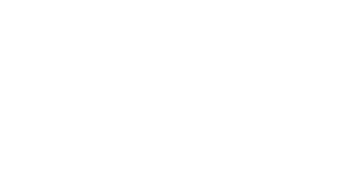 Logo Blue Soft Consulting couleur blanc